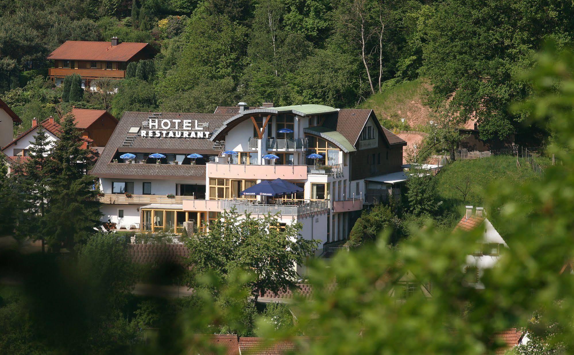 Hotel Am Hirschhorn Wilgartswiesen Buitenkant foto